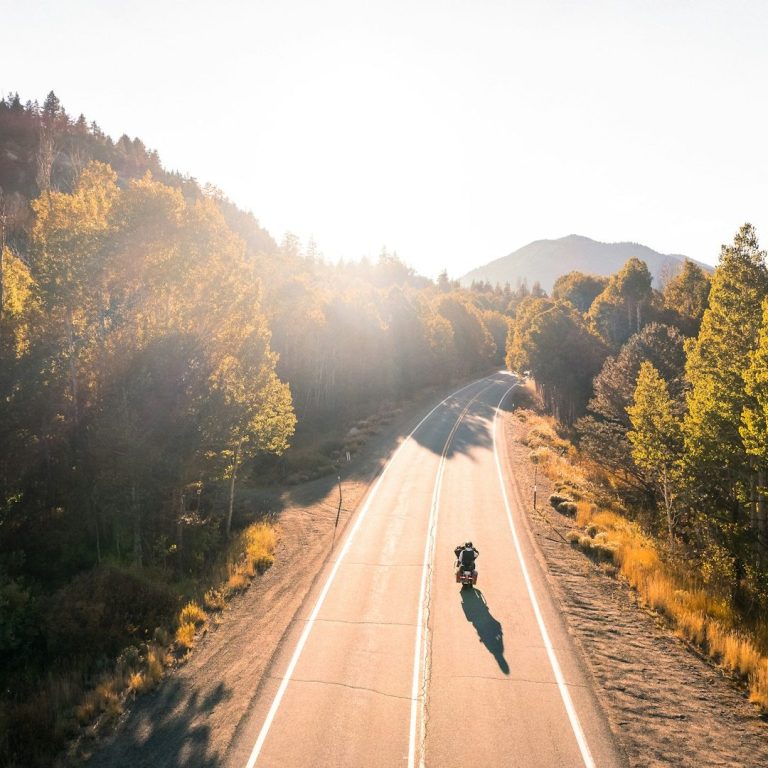 Sonnenaufgang über einem nebligen Wald mit strahlenden Lichtstrahlen.