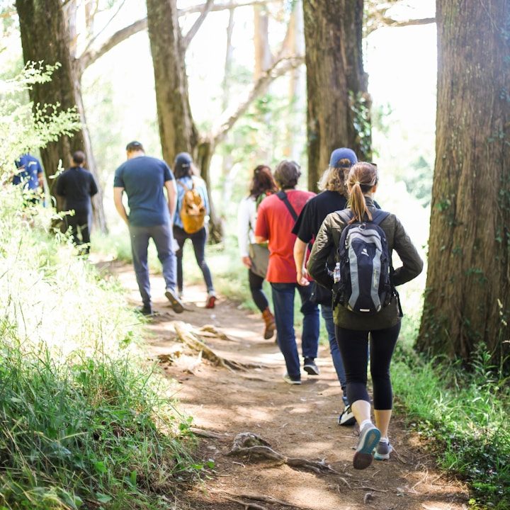 Gruppe von Personen wandert einen schmalen Pfad durch einen Wald.