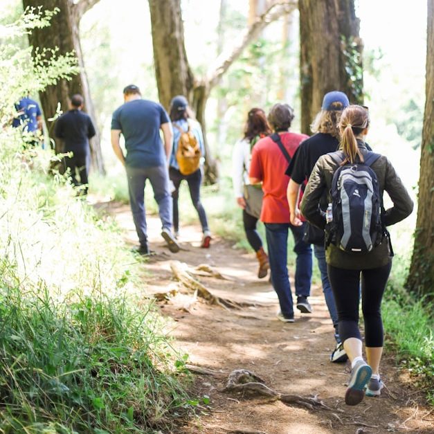 NaturWandeln Image Gruppe von Menschen wandert auf einem schmalen Pfad durch einen Wald.