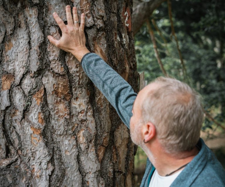 Naturverbunden Ein Mann berührt die raue Oberfläche eines Baumstamms im Wald.